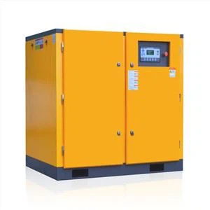 Zog Txuag PM VSD Compressor